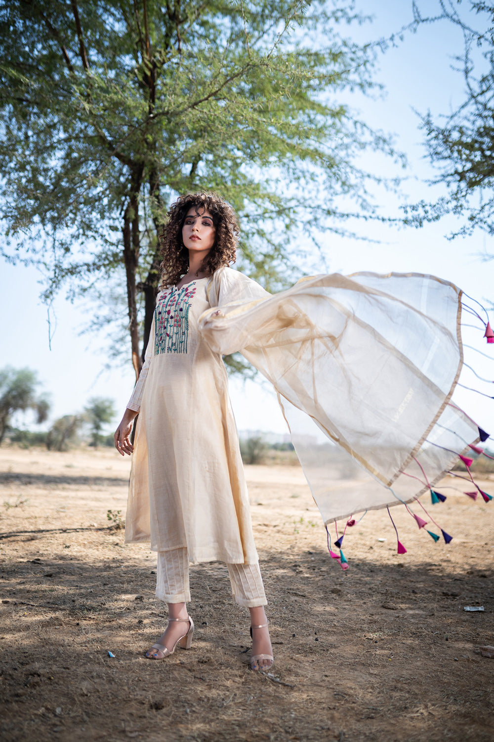 BEIGE HAND EMBROIDERED SUIT