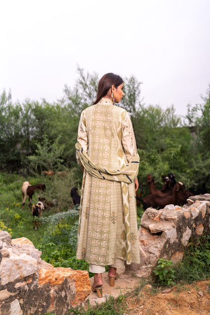 SAGE GREEN  ANARKALI SET